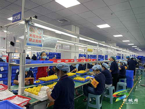 招商引資促發(fā)展上千崗位惠民生