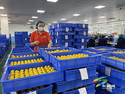 招商引資促發(fā)展上千崗位惠民生