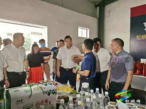 ​吳廷友帶隊赴廣東、重慶等地開展招商引資考察