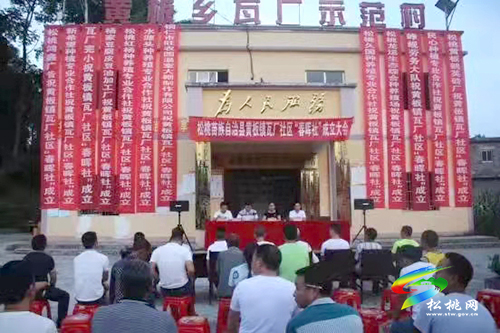 黃板鎮(zhèn)：謀劃鄉(xiāng)村新產(chǎn)業(yè)·開啟振興新篇章