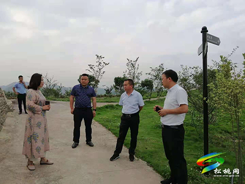 黃板鎮(zhèn)：謀劃鄉(xiāng)村新產(chǎn)業(yè)·開啟振興新篇章