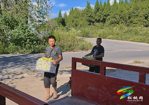 世昌街道：留住本土人才 助力鄉(xiāng)村振興