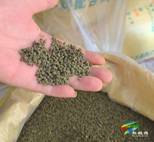 松桃積極探索培育高質(zhì)量中藥材助農(nóng)增收