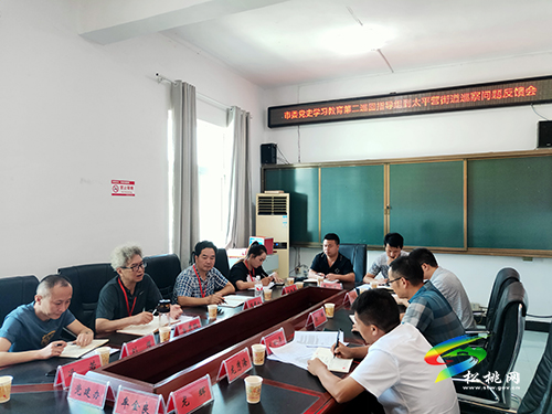 【我為群眾辦實事】市委黨史學(xué)習(xí)教育第二巡回指導(dǎo)組對松桃“我為群眾辦實事”實踐活動開展專項督查