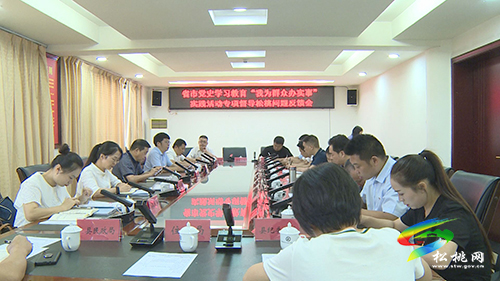 【我為群眾辦實事】省級督導組來松開展黨史學習教育“我為群眾辦實事”專項督導工作