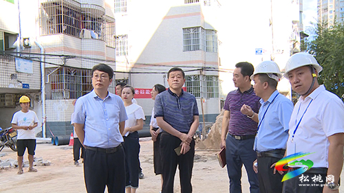 【我為群眾辦實事】省級督導組來松開展黨史學習教育“我為群眾辦實事”專項督導工作