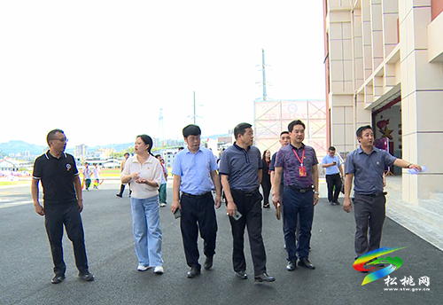 【我為群眾辦實事】省級督導組來松開展黨史學習教育“我為群眾辦實事”專項督導工作