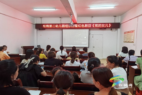 松桃第二幼兒園開展“百年征程鑄輝煌•青春聚力感黨恩”觀影活動
