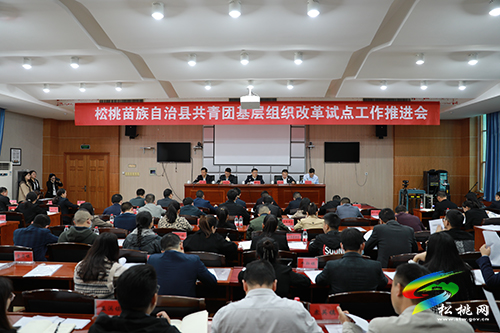 松桃苗族自治縣共青團基層組織改革試點工作推進會召開