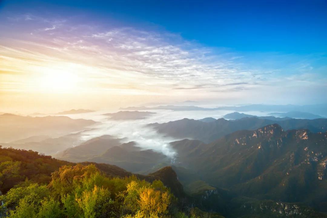 【網(wǎng)絡(luò)中國節(jié)·重陽】今日重陽