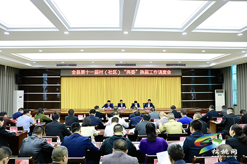 全縣第十一屆村（社區(qū)）“兩委”換屆工作調(diào)度會召開
