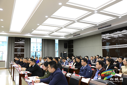 全縣第十一屆村（社區(qū)）“兩委”換屆工作調(diào)度會召開