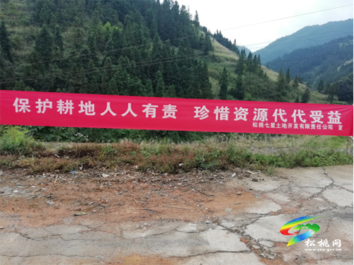 平頭鎮(zhèn)楓香坪村高標(biāo)準(zhǔn)農(nóng)田建設(shè)開(kāi)工