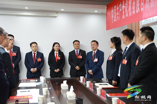 ​縣委書記龍群躍率隊(duì)赴各代表團(tuán)討論點(diǎn)看望代表