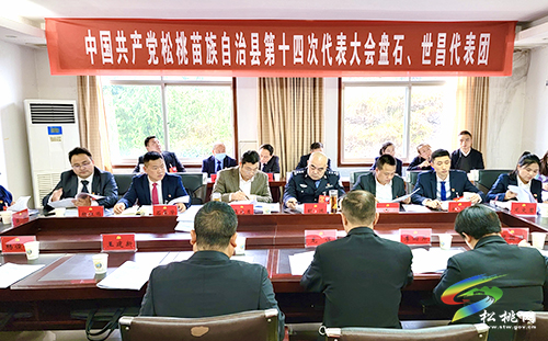 吳廷友參加中國共產(chǎn)黨松桃苗族自治縣第十四次代表大會盤石、世昌代表團(tuán)分組討論會