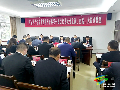 丁和平參加中國(guó)共產(chǎn)黨松桃苗族自治縣第十四次代表大會(huì)孟溪、妙隘、大路代表團(tuán)分組討論會(huì)