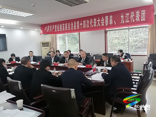中國共產(chǎn)黨松桃苗族自治縣第十四次代表大會蓼皋、九江代表團討論《報告》