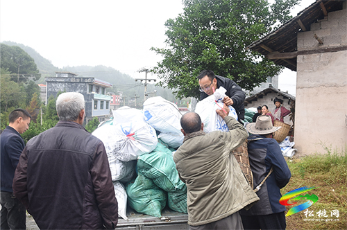 ​大坪場鎮(zhèn)巖牛村：香柚大豐收 群眾采摘忙