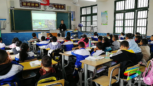 ​寨英鎮(zhèn)教育管理中心組織開展小學(xué)學(xué)科優(yōu)質(zhì)課競(jìng)賽活動(dòng)