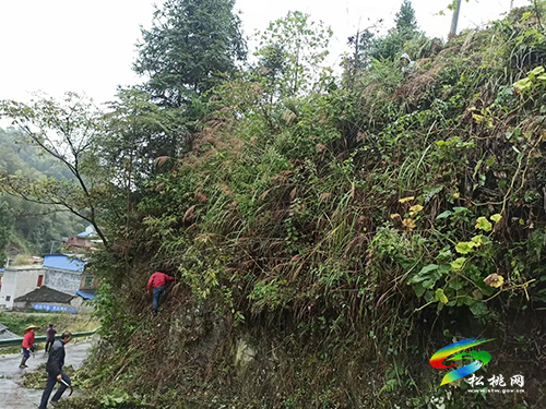 【我為群眾辦實事】平頭鎮(zhèn)大窯溪村：志愿服務(wù)優(yōu)環(huán)境文明實踐暖民心