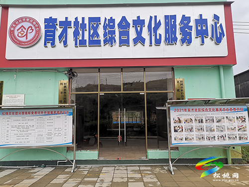 【奮斗百年路　啟航新征程】松桃為社區(qū)“四安家園”錦上添花