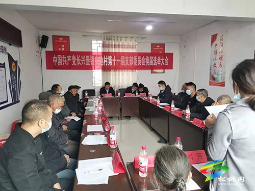 石敏到長(zhǎng)興堡鎮(zhèn)指導(dǎo)第十一屆村黨組織換屆選舉工作