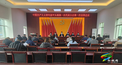 中國(guó)共產(chǎn)主義青年團(tuán)平頭鎮(zhèn)第一次代表大會(huì)順利召開(kāi)
