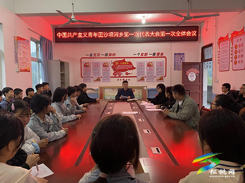 中國(guó)共產(chǎn)主義青年團(tuán)沙壩河鄉(xiāng)第一次代表大會(huì)順利召開