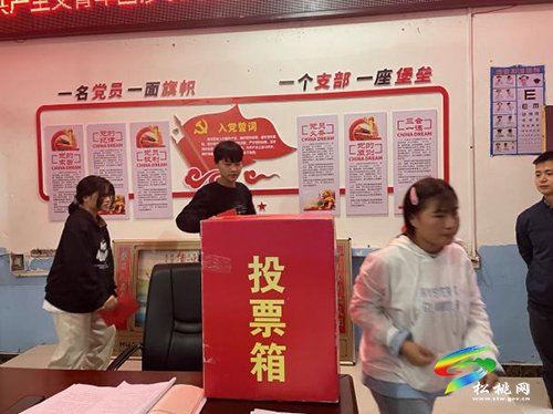 中國(guó)共產(chǎn)主義青年團(tuán)沙壩河鄉(xiāng)第一次代表大會(huì)順利召開