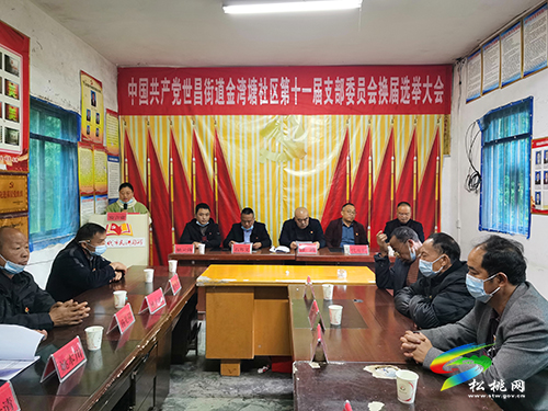 舒鴻到世昌街道指導(dǎo)第十一屆社區(qū)支部委員會換屆選舉工作