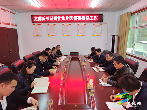 龍群躍到甘龍片區(qū)調(diào)研指導(dǎo)工作