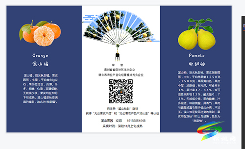 “土專家”文斐：種好“金果果”帶鄉(xiāng)親致富