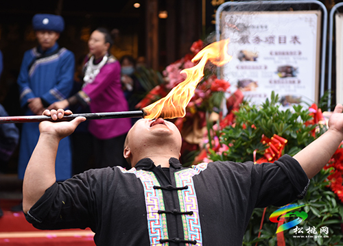松桃成立苗醫(yī)藥康養(yǎng)館