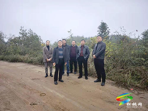 石敏到長(zhǎng)坪鄉(xiāng)開(kāi)展巡河工作