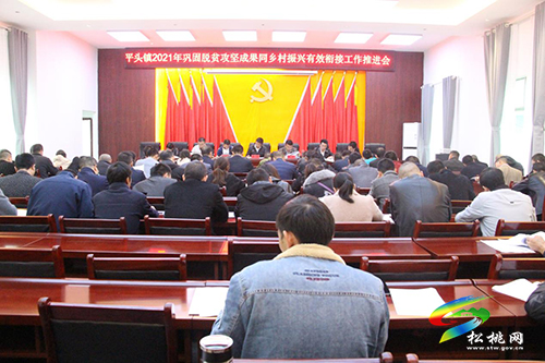 平頭鎮(zhèn)召開鞏固拓展脫貧攻堅成果同鄉(xiāng)村振興有效銜接工作推進會