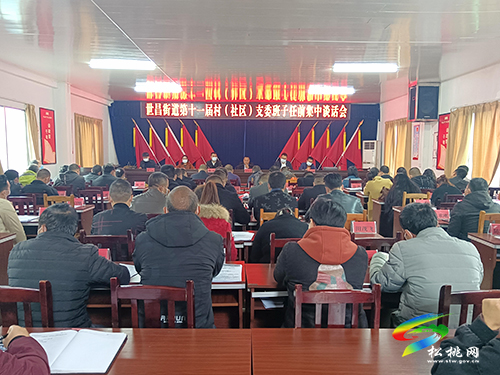世昌街道召開第十一屆村（社區(qū)）支委班子任前集中談話會