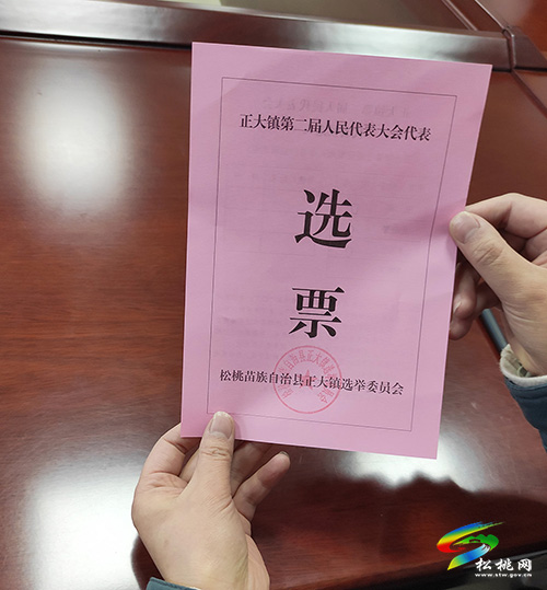 ​龍群躍以普通選民身份參加所在選區(qū)人大代表換屆選舉投票