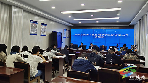 【奮斗百年路　啟航新征程】​松桃“四舉措”確保黨史學習教育工作“不打折”