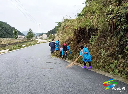 ​平頭鎮(zhèn)開(kāi)展“人居環(huán)境衛(wèi)生整治”系列志愿服務(wù)活動(dòng)