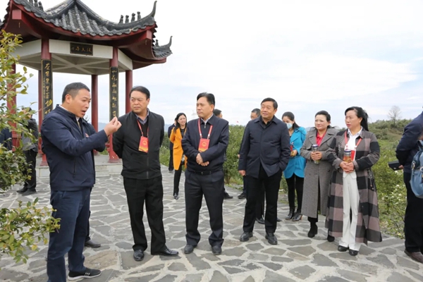 省十三屆人大銅仁代表團到松桃開展集中視察活動
