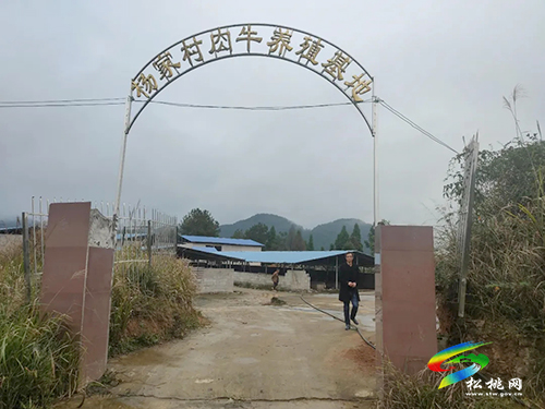 松桃職校畜牧獸醫(yī)專業(yè)下鄉(xiāng)調(diào)研為鄉(xiāng)村產(chǎn)業(yè)服務