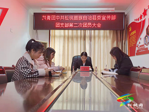 中國共產主義青年團松桃苗族自治縣委宣傳部團支部第二次團員大會召開