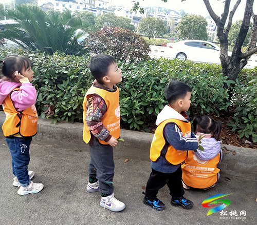 大自然走進(jìn)幼兒手工課堂