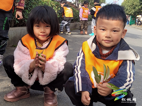 大自然走進(jìn)幼兒手工課堂