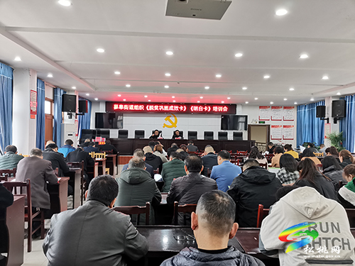 蓼皋街道召開(kāi)鞏固拓展脫貧成效“拉網(wǎng)式”村級(jí)交叉檢查工作部署會(huì)