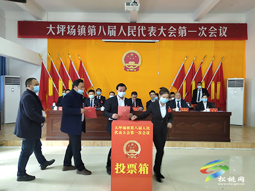 大坪場鎮(zhèn)第八屆人民代表大會第一次會議順利召開