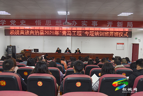 共青團(tuán)松桃縣委團(tuán)校舉行揭牌儀式暨2021年“青馬工程”培訓(xùn)班開(kāi)班典禮