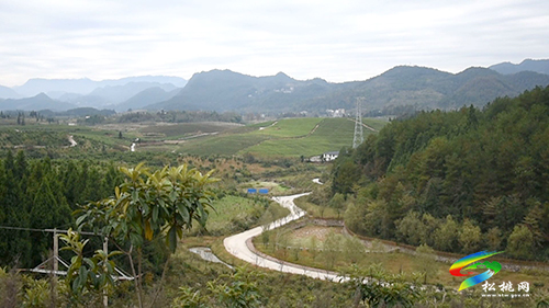 【鄉(xiāng)村振興記者行】大坪場鎮(zhèn)夯實農(nóng)村公路建設(shè) 鋪就鄉(xiāng)村振興“快車道”