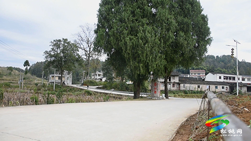 【鄉(xiāng)村振興記者行】大坪場鎮(zhèn)夯實農(nóng)村公路建設(shè) 鋪就鄉(xiāng)村振興“快車道”