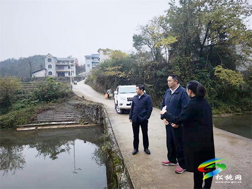 黃愛民到長(zhǎng)坪鄉(xiāng)開展巡河